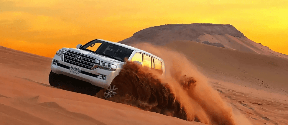 Standard Desert Safari in Dubai with BBQ and Transfer - Image 6