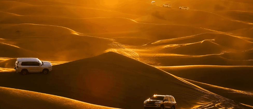 Standard Desert Safari in Dubai with BBQ and Transfer - Image 7